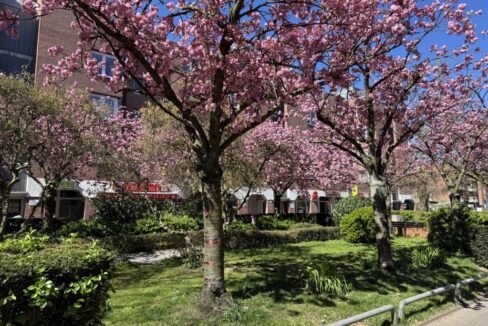 Fußgängerzone Brüser Berg