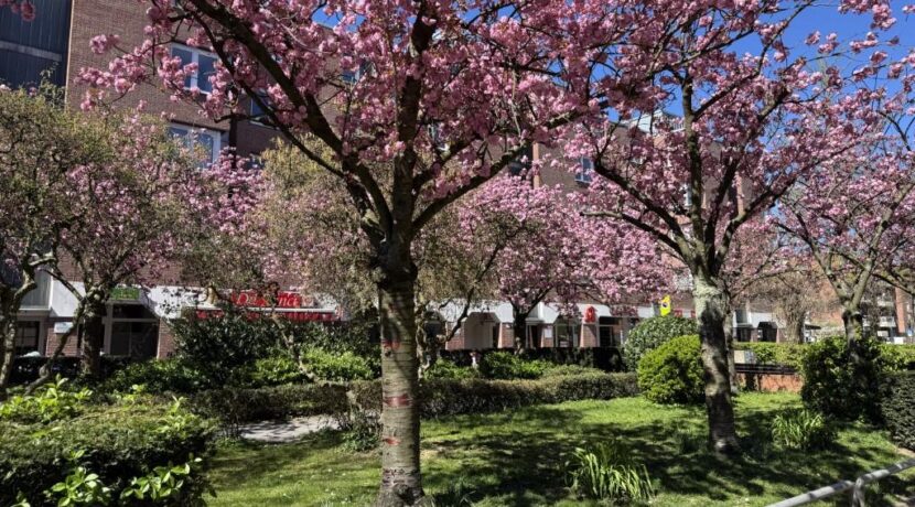 Fußgängerzone Brüser Berg