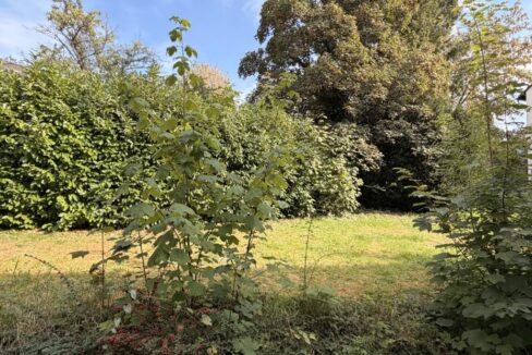 Gemeinschaftsgarten