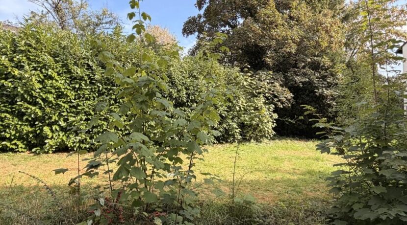 Gemeinschaftsgarten